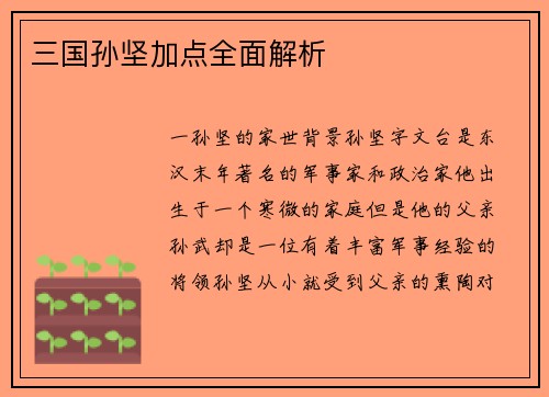 三国孙坚加点全面解析